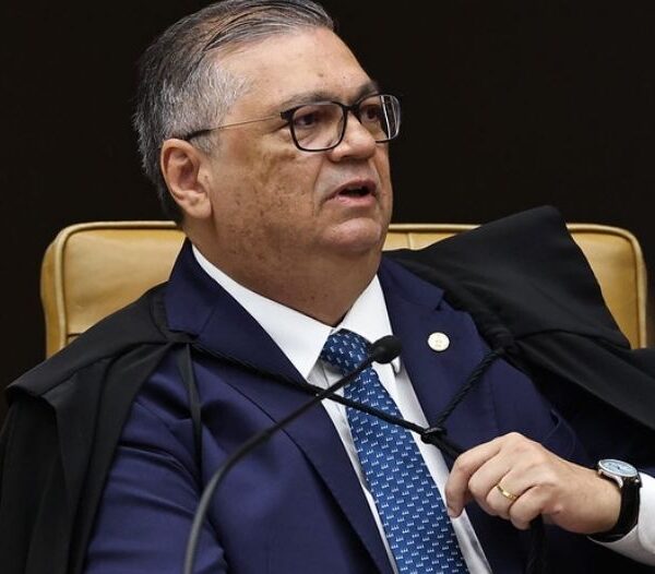 dino stf