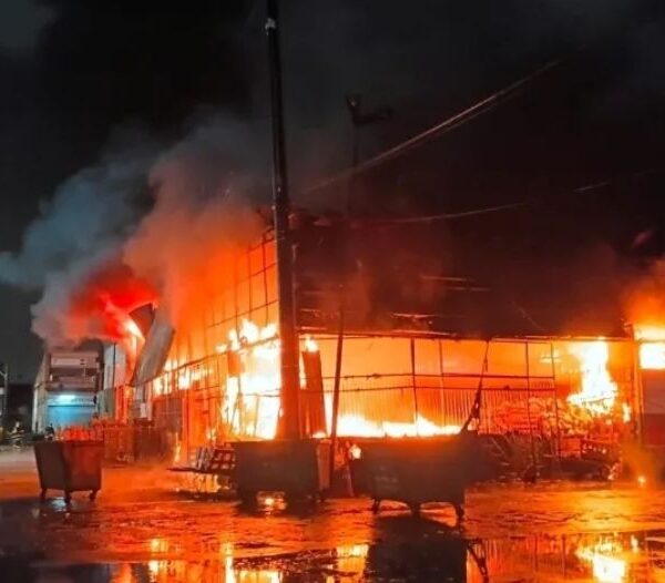 incêndio ceagesp