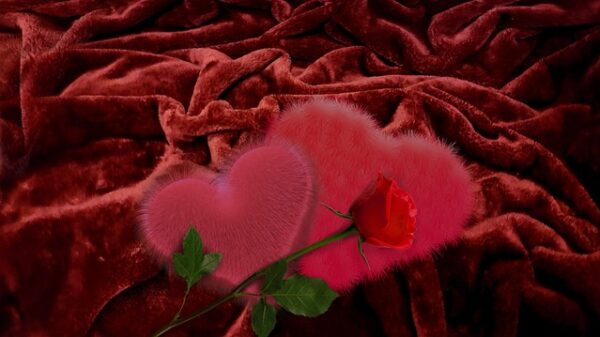 amor