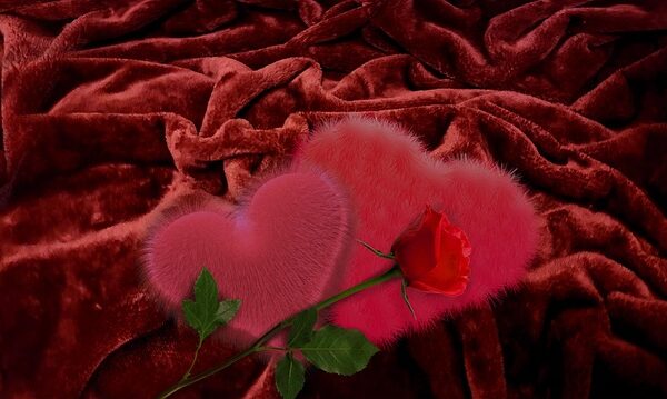 amor