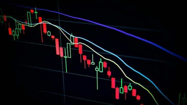 bolsa