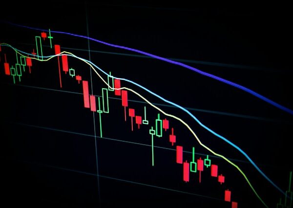 bolsa